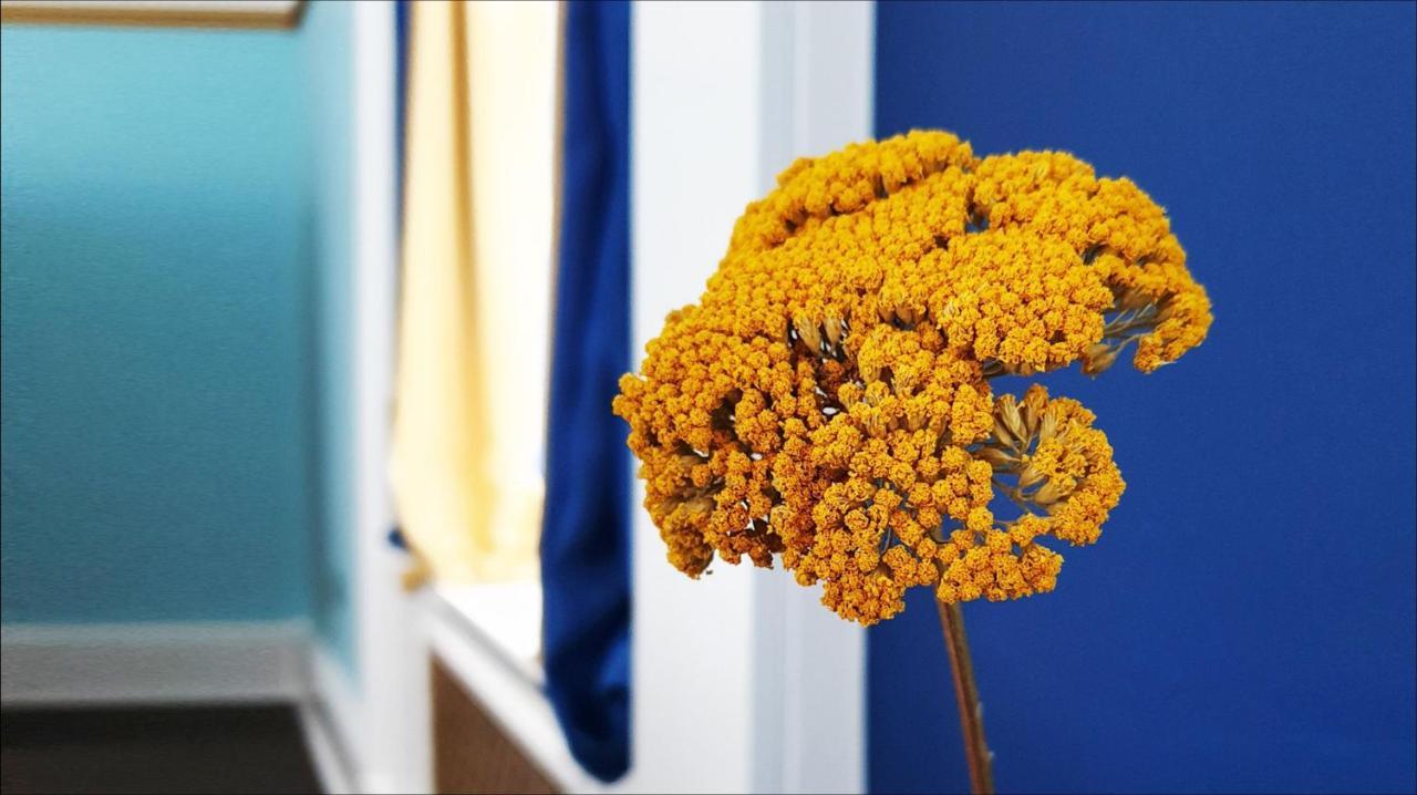Little Robin B&B Dufftown Εξωτερικό φωτογραφία